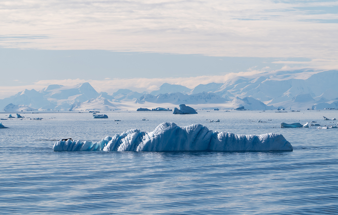 Ανταρκτική Ανταρκτική