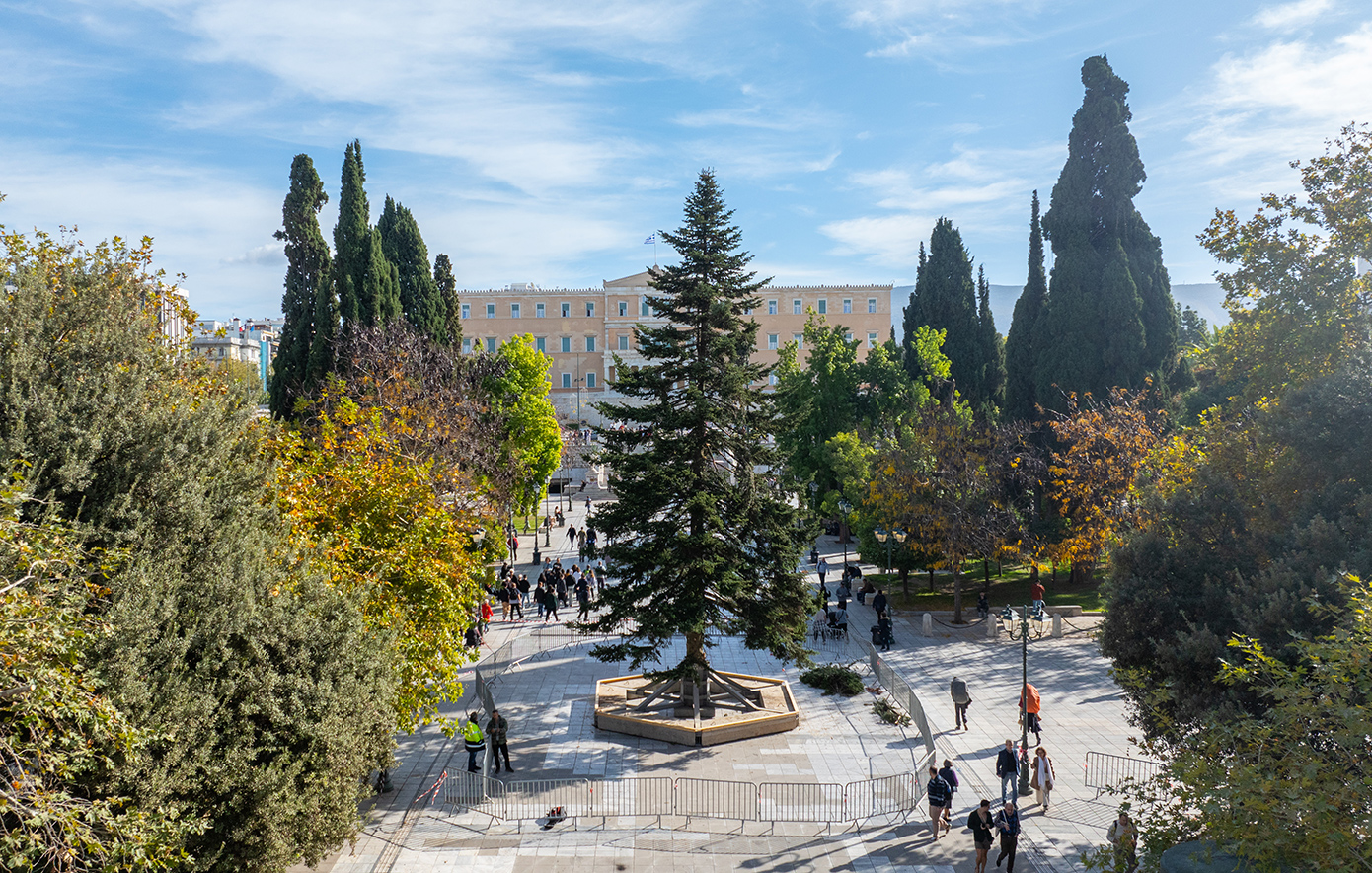 «Αυτά τα Χριστούγεννα στην Αθήνα θα είναι σαν παραμύθι», λέει ο Χάρης Δούκας – Την Πέμπτη η φωταγώγηση του δέντρου στο Σύνταγμα