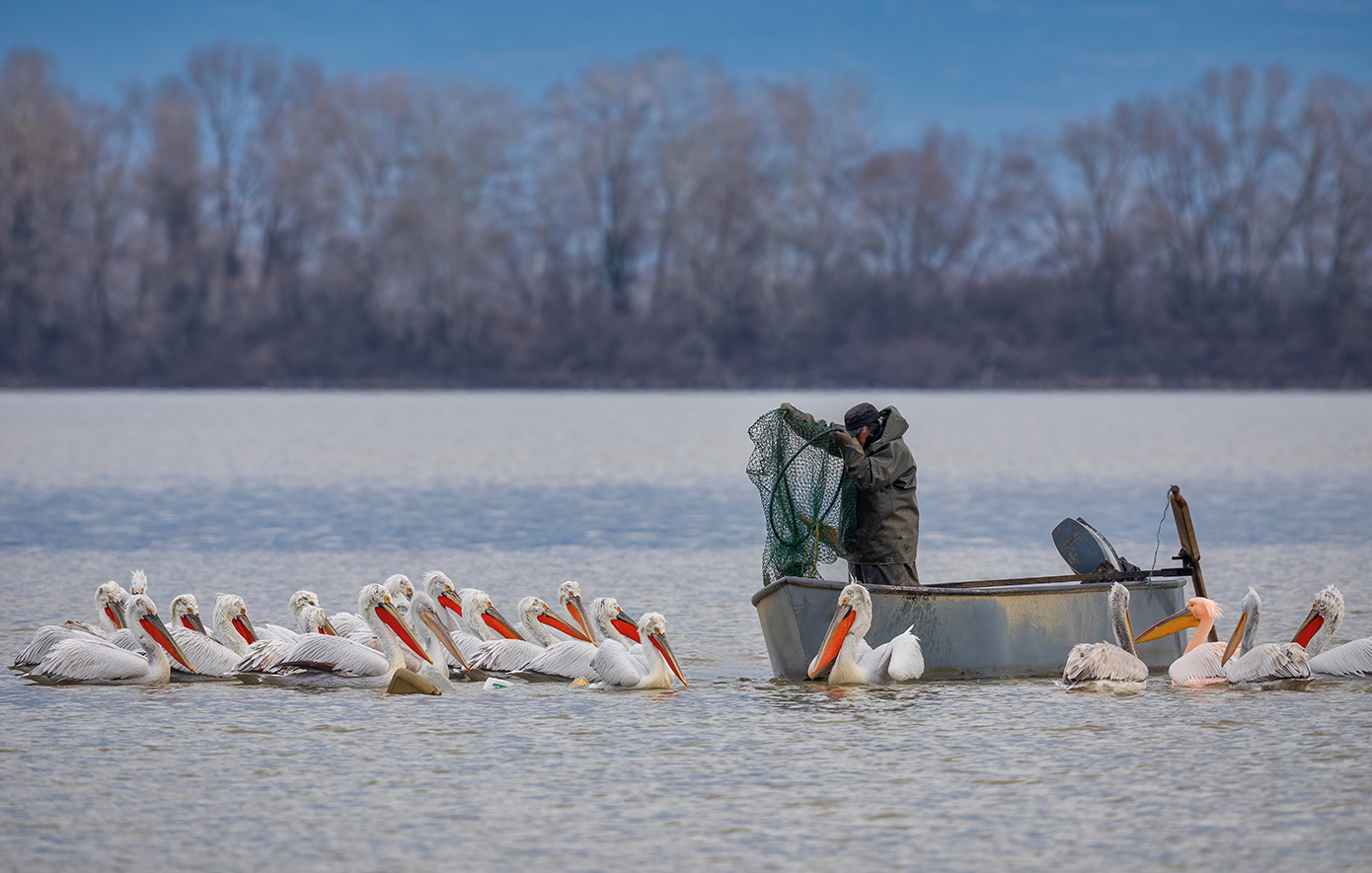 Λίμνη Κερκίνη Λίμνη Κερκίνη