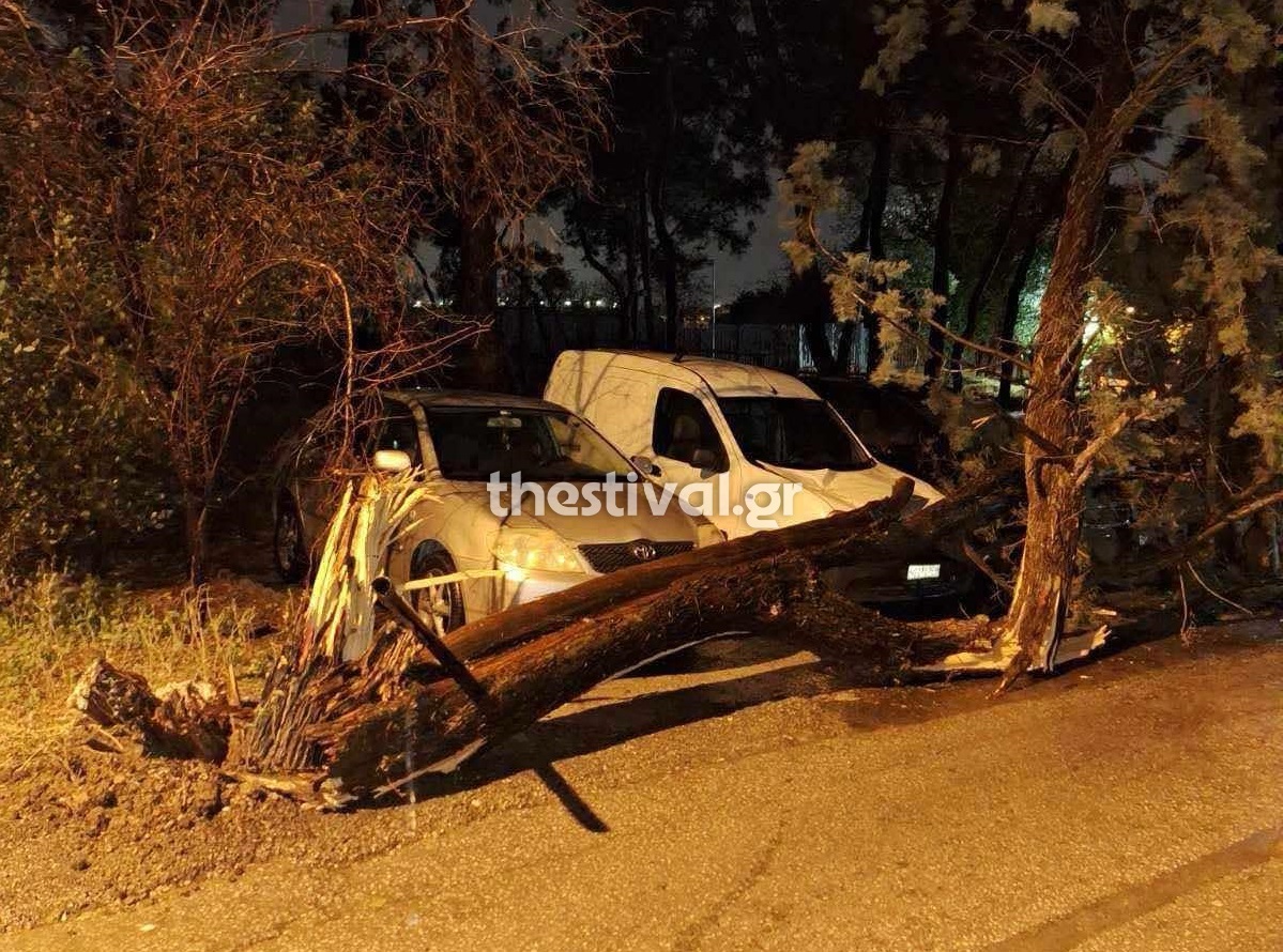 Ισχυροί άνεμοι προκάλεσαν πτώσεις δέντρων στο κέντρο της Θεσσαλονίκης &#8211; Οχήματα υπέστησαν ζημιές