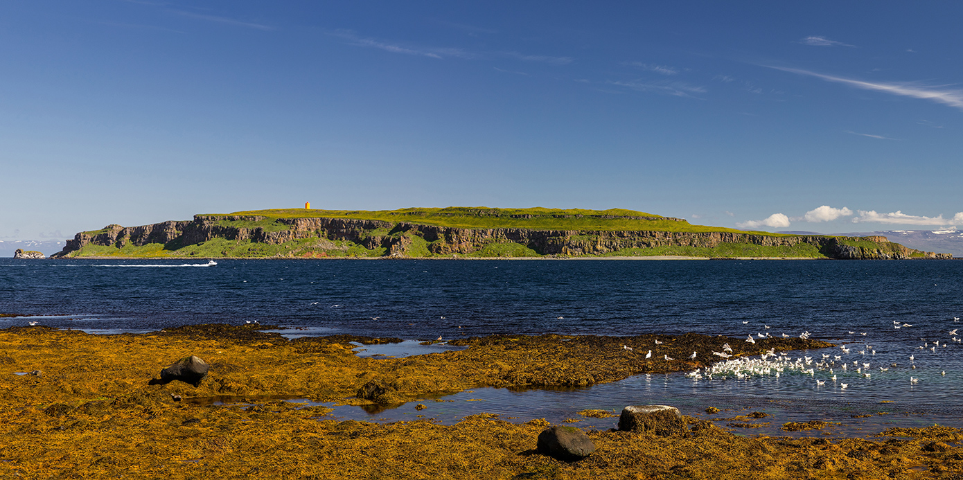 Γκρίμσεϊ, Ισλανδία