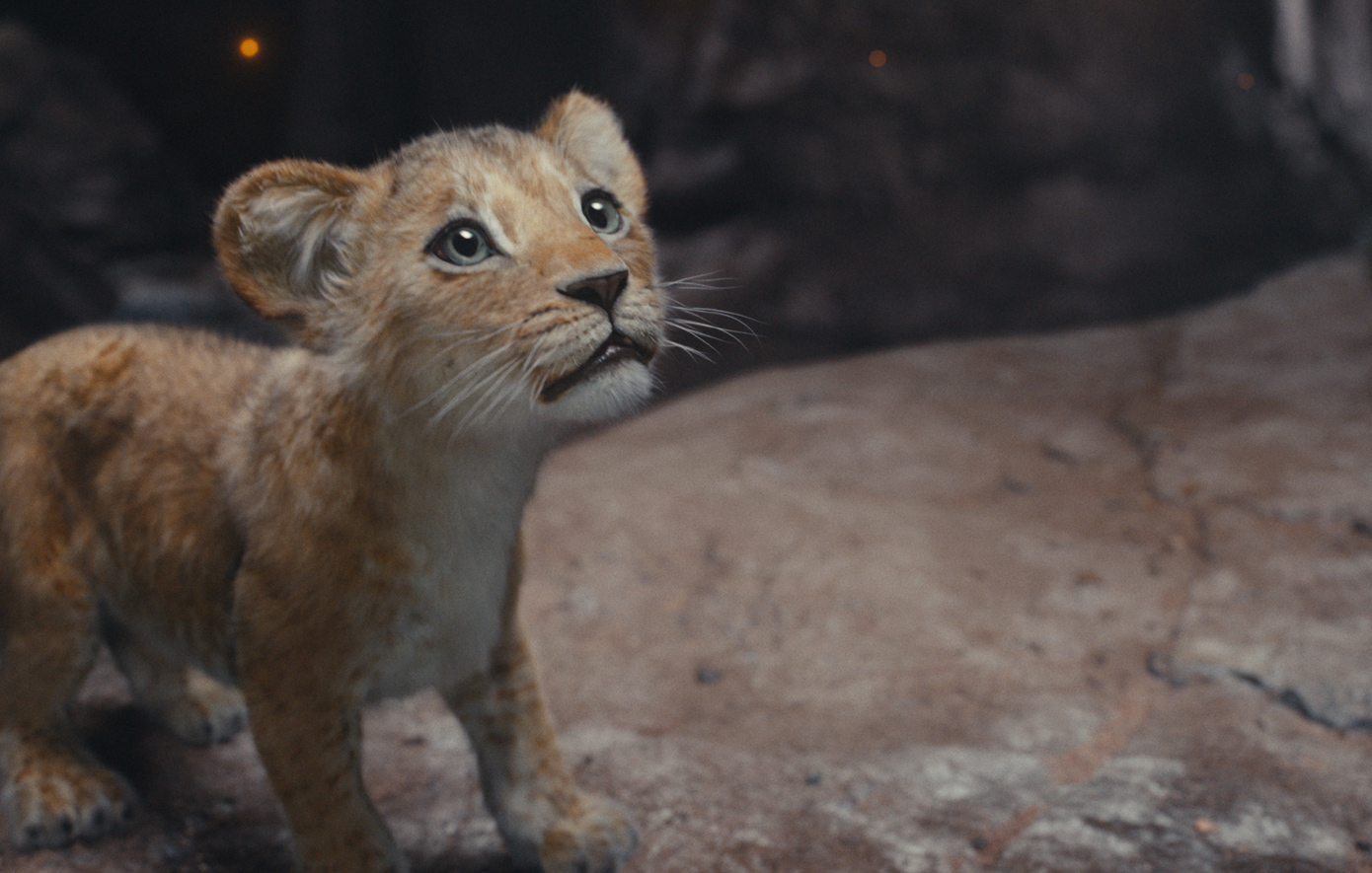 Μουφάσα: Ο Βασιλιάς Των Λιονταριών Μουφάσα: Ο Βασιλιάς Των Λιονταριών