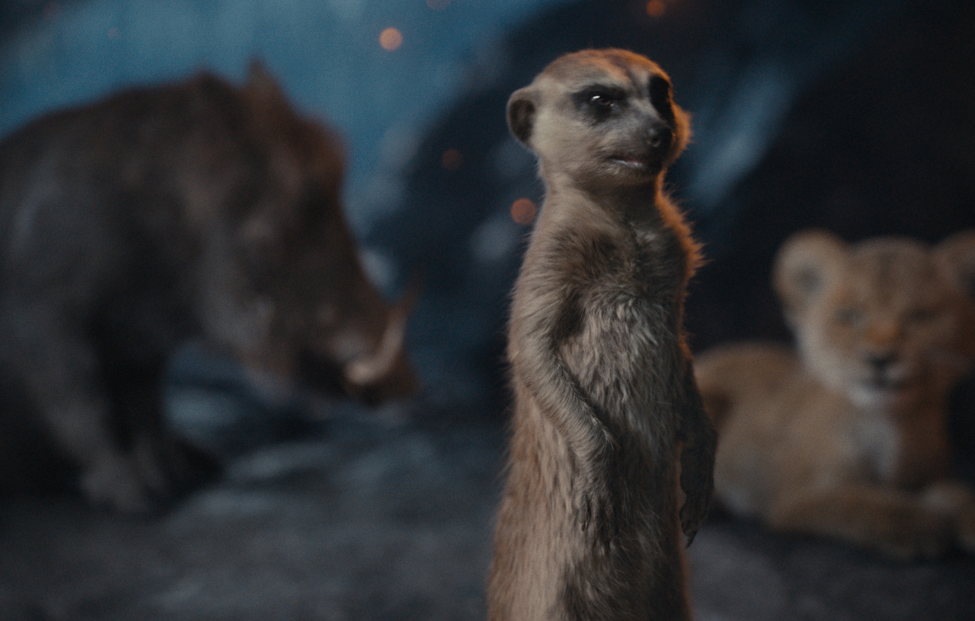 Μουφάσα: Ο Βασιλιάς Των Λιονταριών Μουφάσα: Ο Βασιλιάς Των Λιονταριών