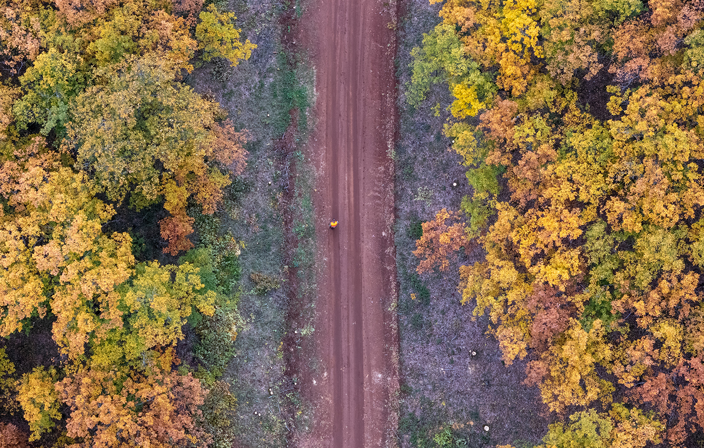 Δάσος Μογγοστού Κορινθία