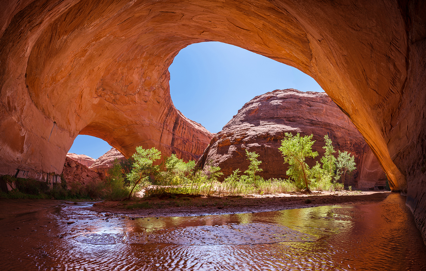 Γιούτα Γιούτα