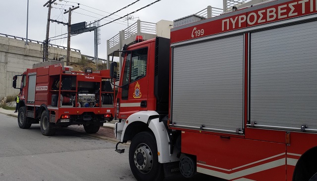 Φωτιά σε κτηνοτροφική μονάδα στη Μαγνησία – Απομακρύνθηκαν έγκαιρα τα περισσότερα ζώα