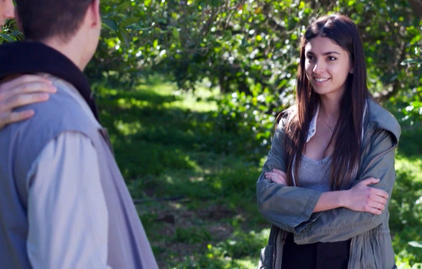 Η Γη της Ελιάς Η Γη της Ελιάς