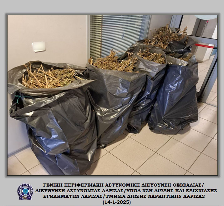 Έκρυβε 37 κιλά κάνναβη σε αποθήκη στον Τύρναβο