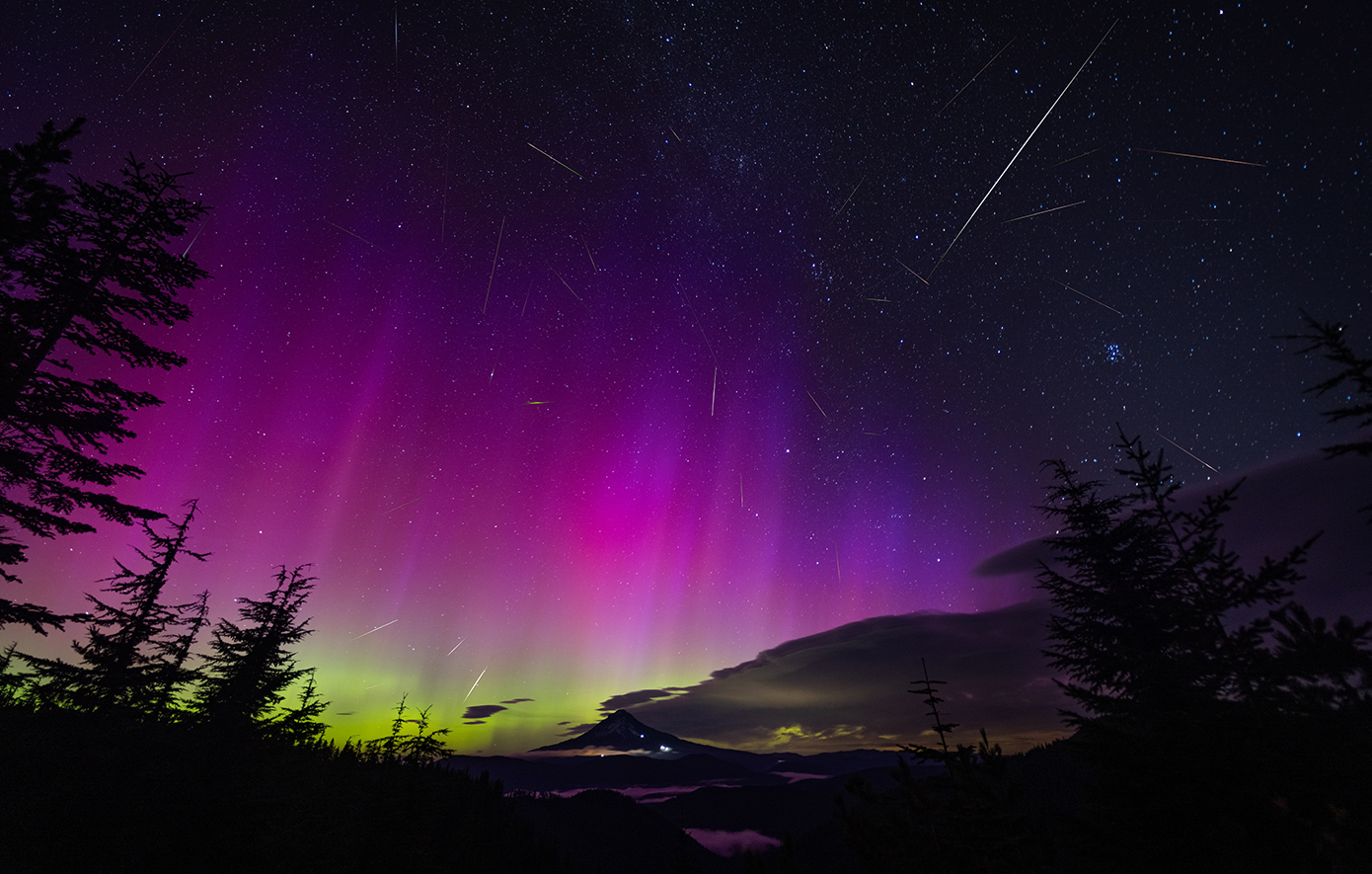 Noctourism Noctourism