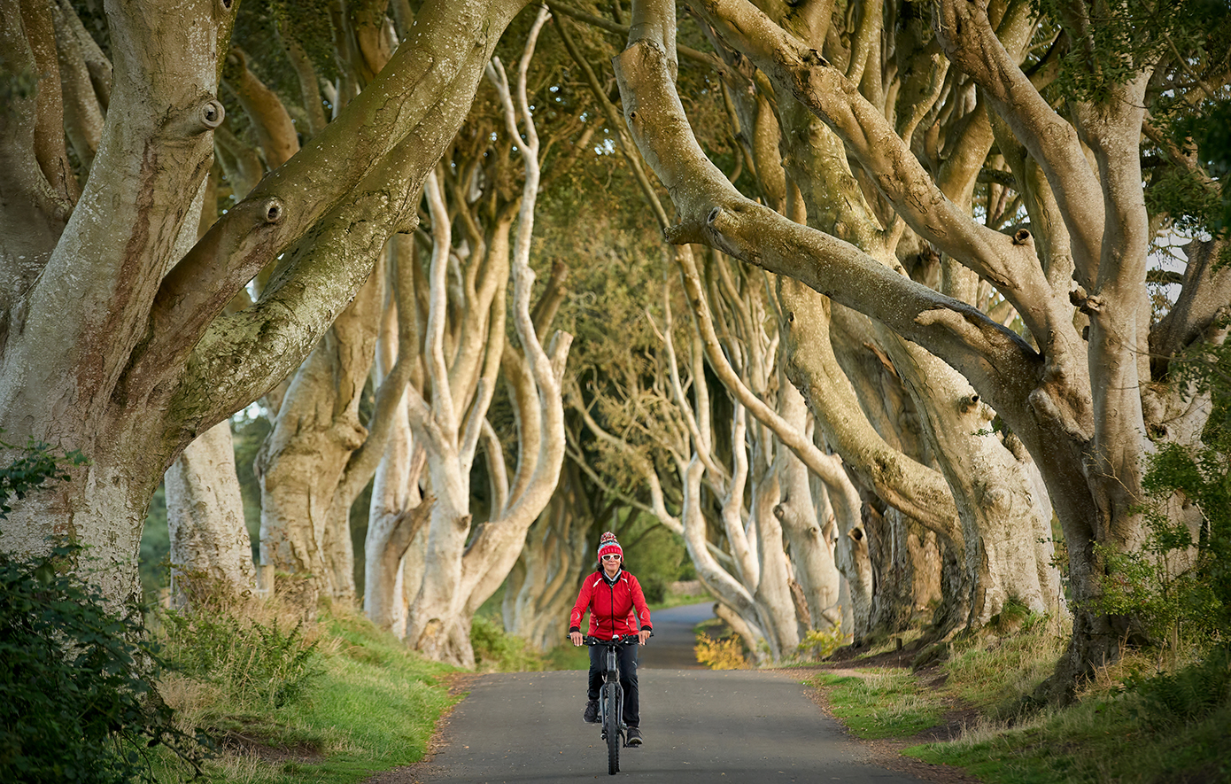 The Dark Hedges Βόρεια Ιρλανδία The Dark Hedges Βόρεια Ιρλανδία