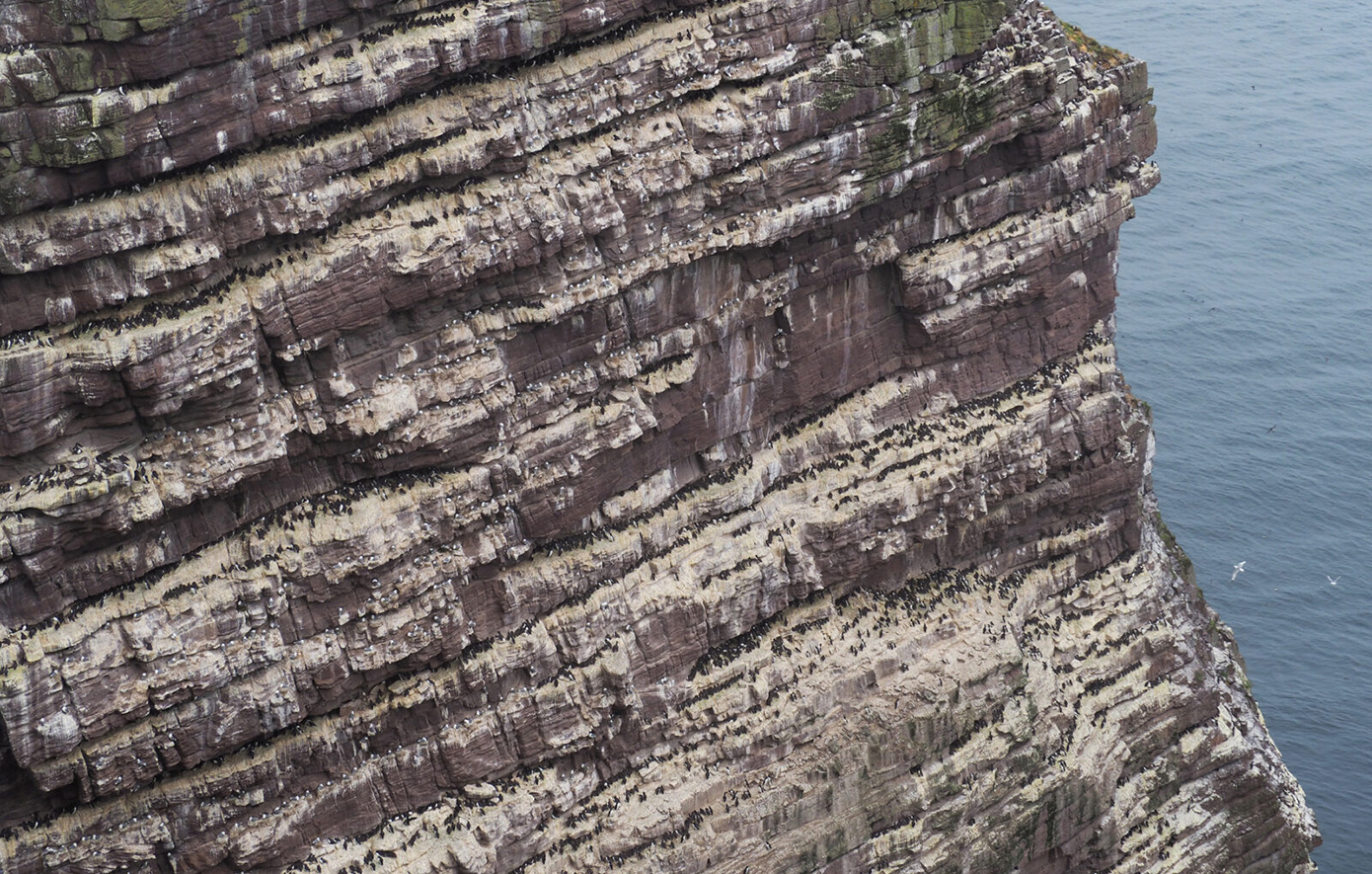 Handa Island Handa Island