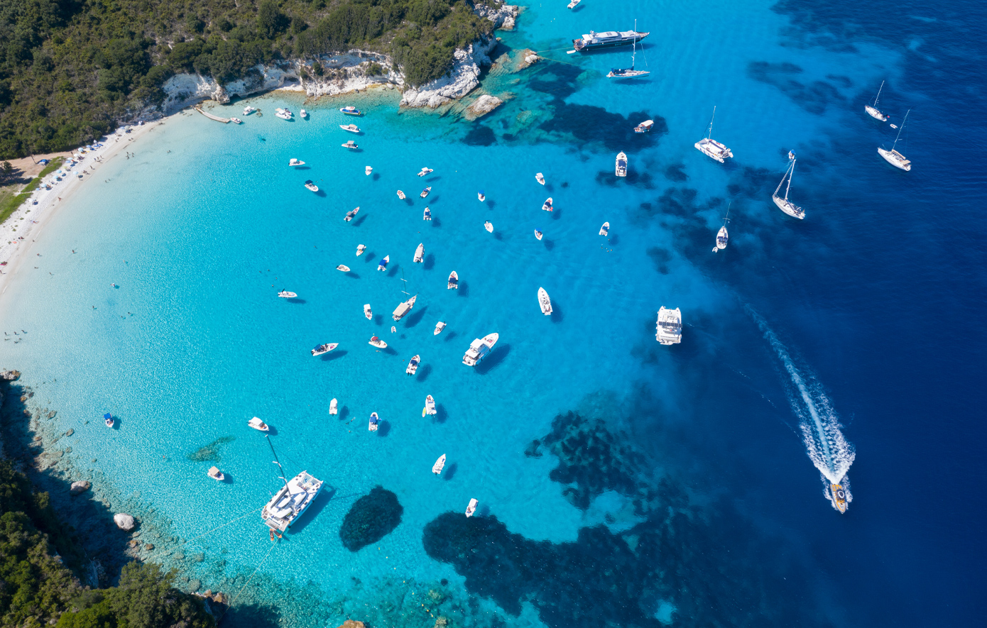 Αντιπαξοί Αντιπαξοί