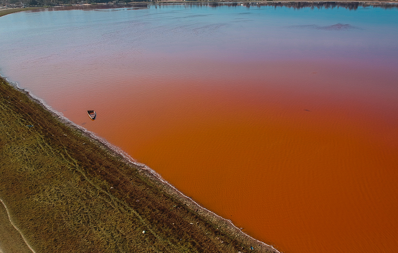 Το ροζ θαύμα της φύσης που δεν χορταίνεις να βλέπεις