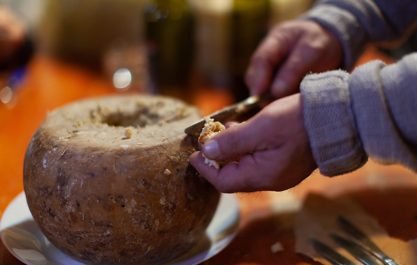 Κάζου μάρτζου τυρί Σαρδηνίας Κάζου μάρτζου τυρί Σαρδηνίας