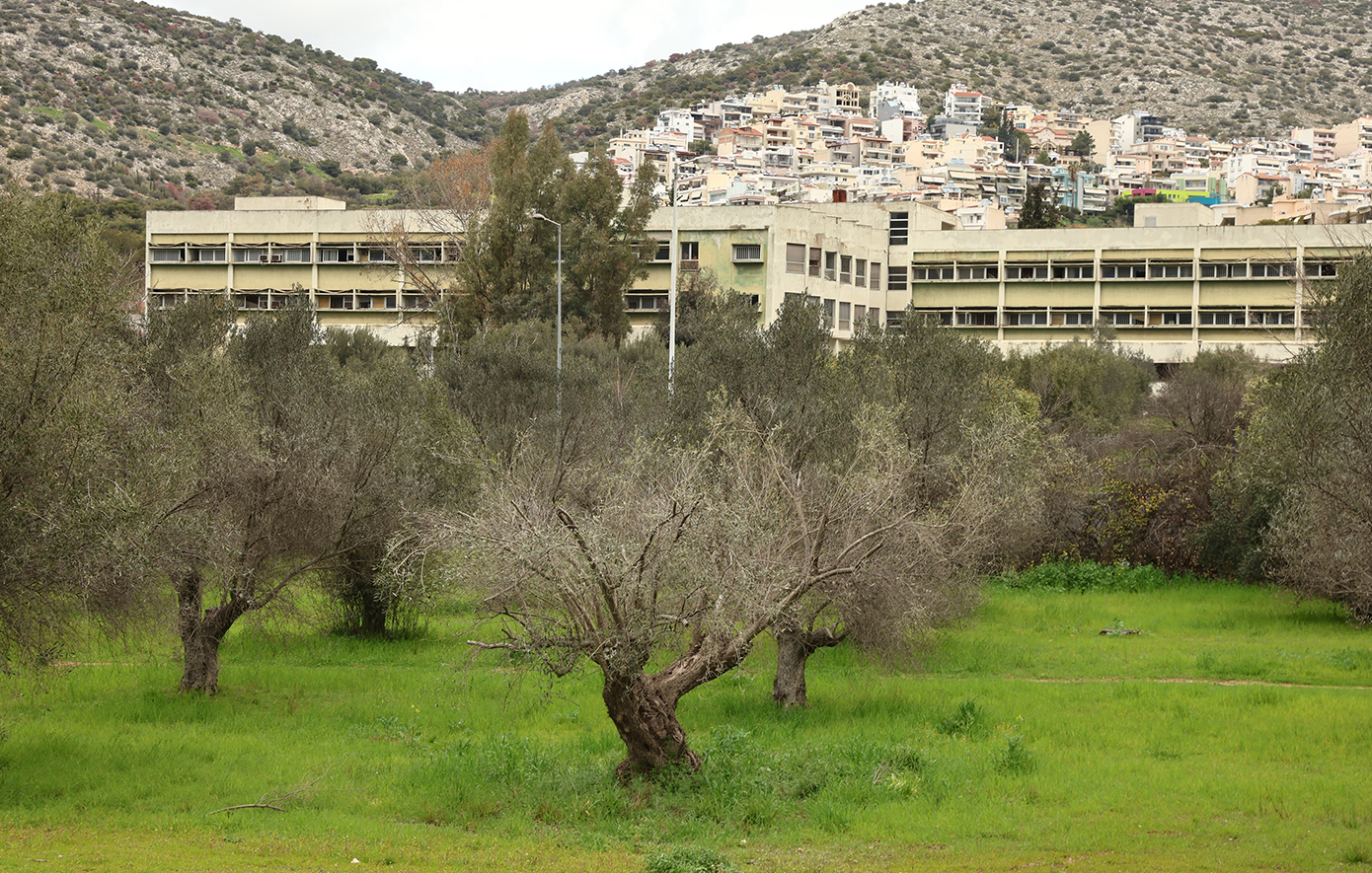 Έγκλημα στο Δαφνί: Τρόφιμος στραγγάλισε τον συγκάτοικό του