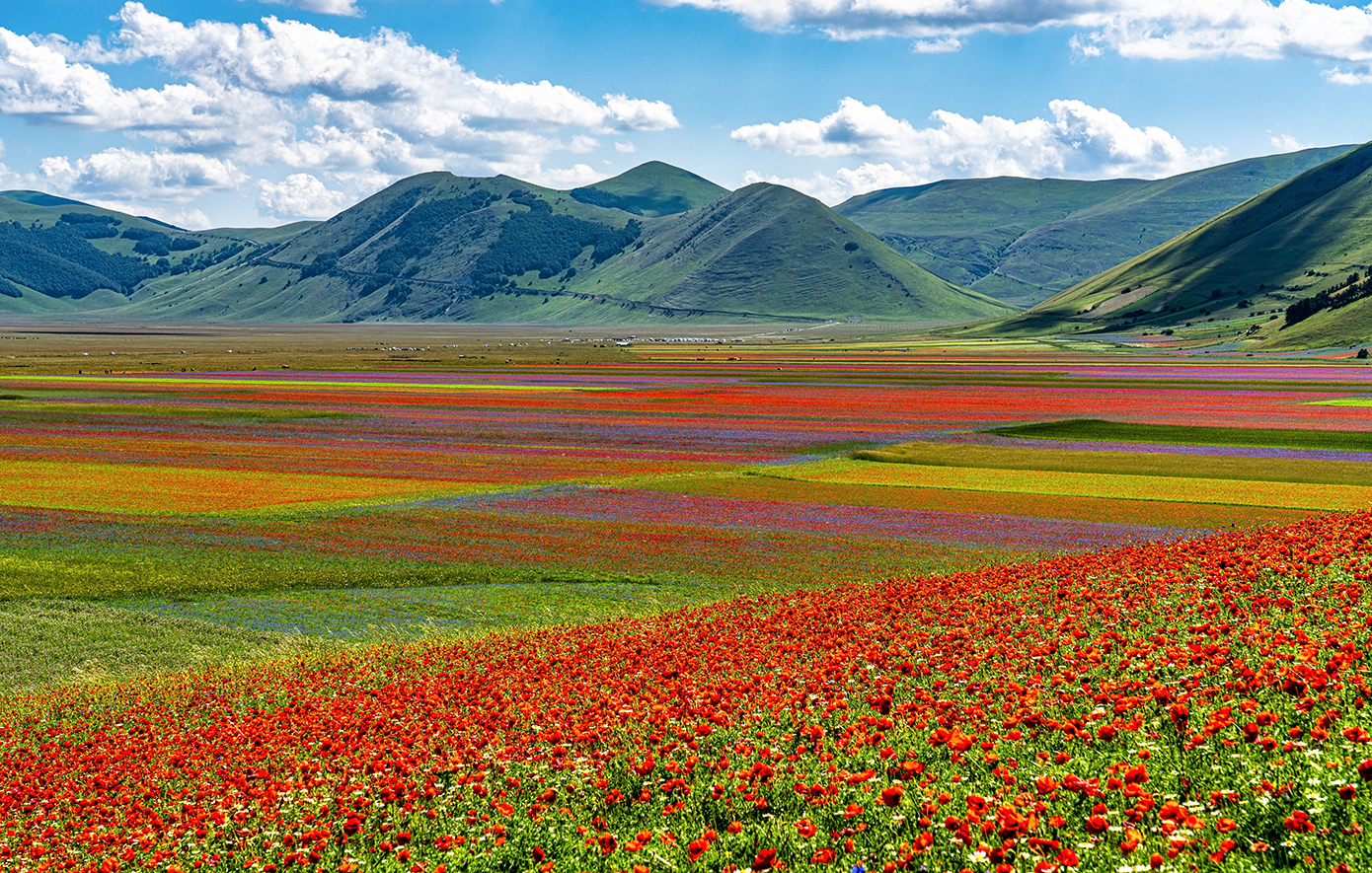 Κατσελούτσιο Ουμπρία Κατσελούτσιο Ουμπρία