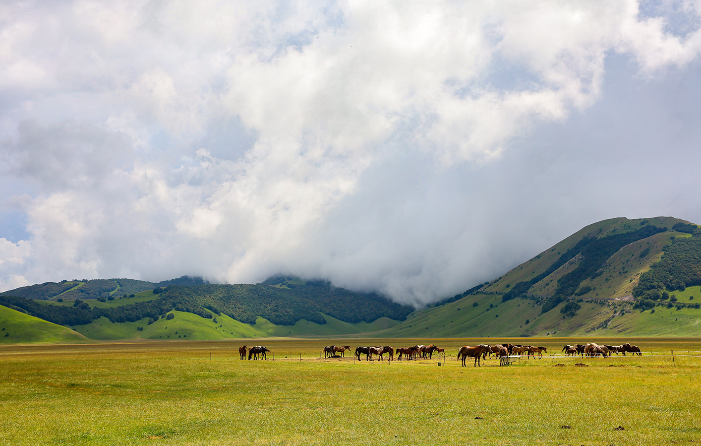 Κατσελούτσιο Ουμπρία Κατσελούτσιο Ουμπρία