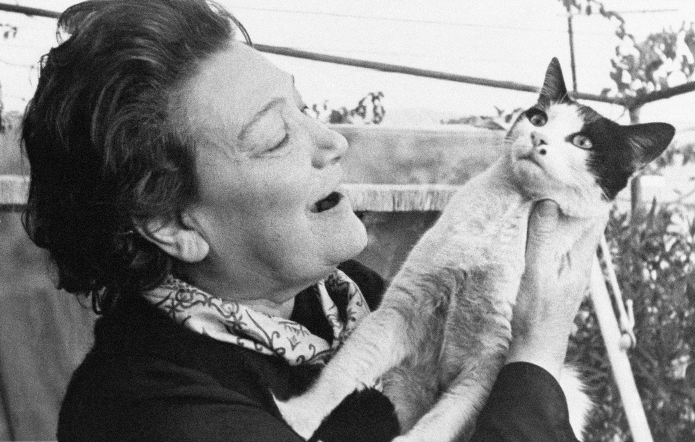 αμαλια φλεμμινγκ αμαλια φλεμμινγκ