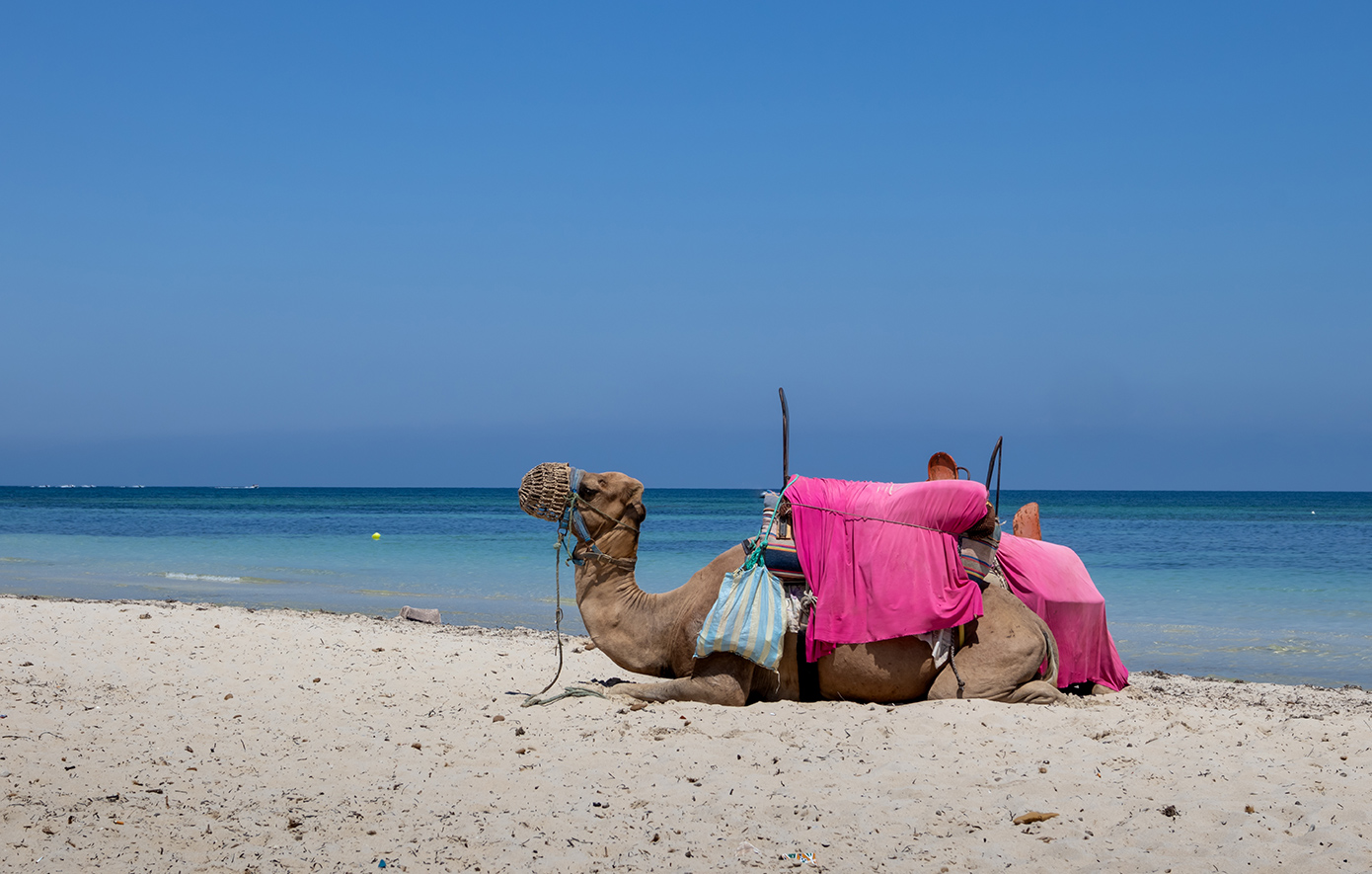 Τζέρμπα Τυνησία Τζέρμπα Τυνησία