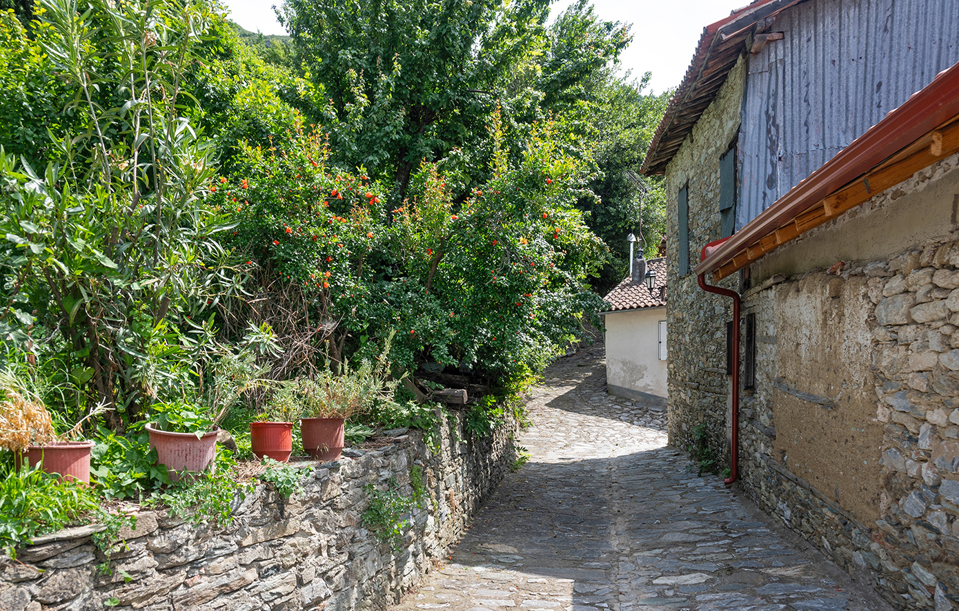 Αμπελάκια Λάρισα Αμπελάκια Λάρισα