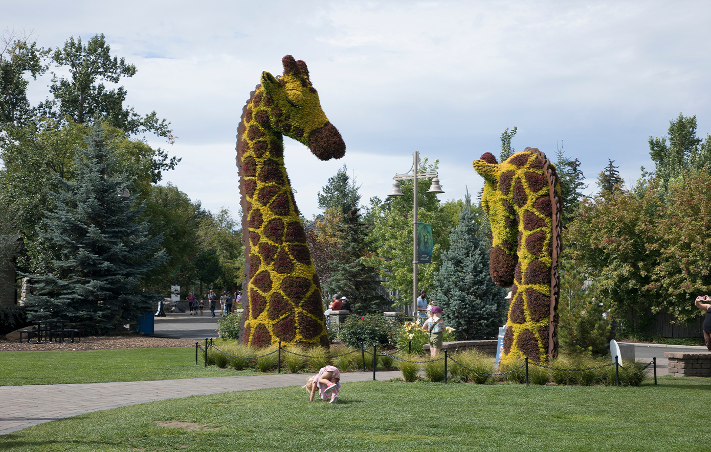Κάλγκαρυ _Καναδάς Κάλγκαρυ _Καναδάς