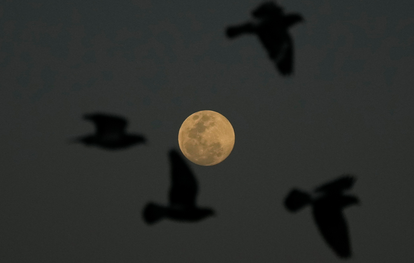 Ολική έκλειψη Σελήνης Ολική έκλειψη Σελήνης