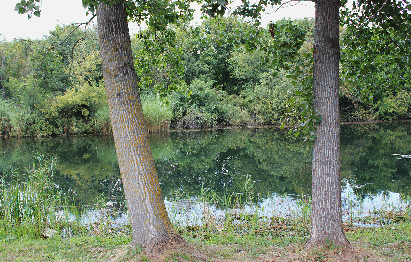 Λίμνη Άγρα Λίμνη Άγρα