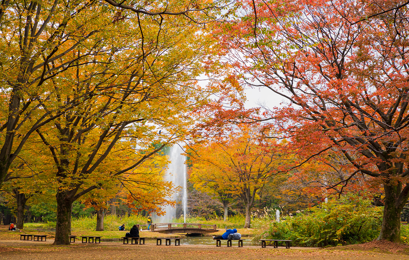 Τόκυο Τόκυο