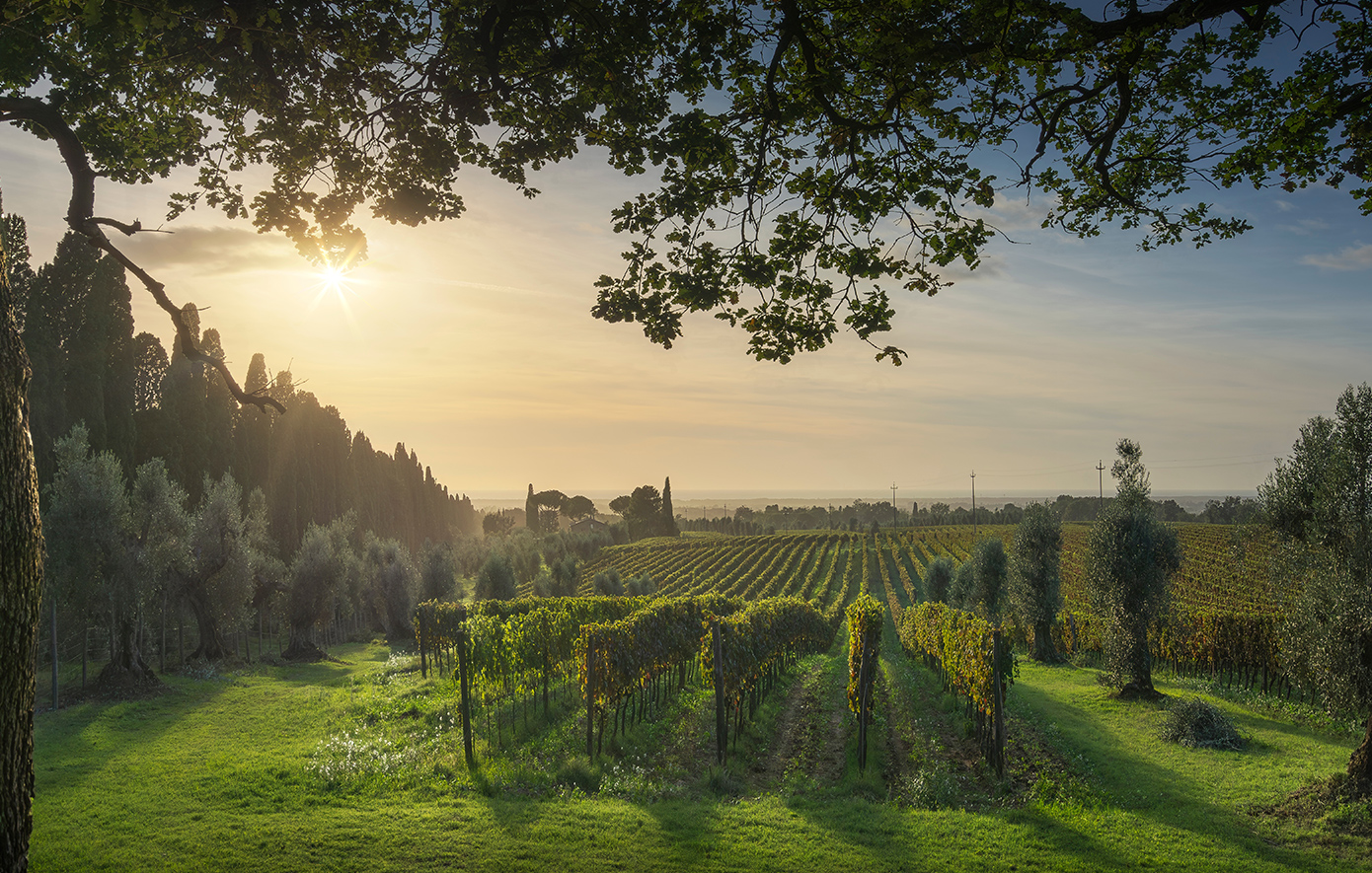 Μπολγκέρι Τοσκάνη Μπολγκέρι Τοσκάνη