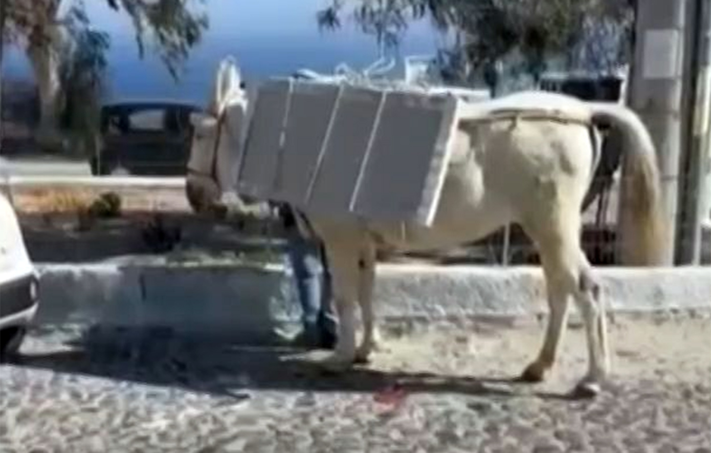 Με τα γαϊδουράκια μεταφέρουν τα οικοδομικά υλικά στη Σαντορίνη – Τον γύρο του διαδικτύου κάνουν εικόνες που τα δείχνουν υπερφορτωμένα
