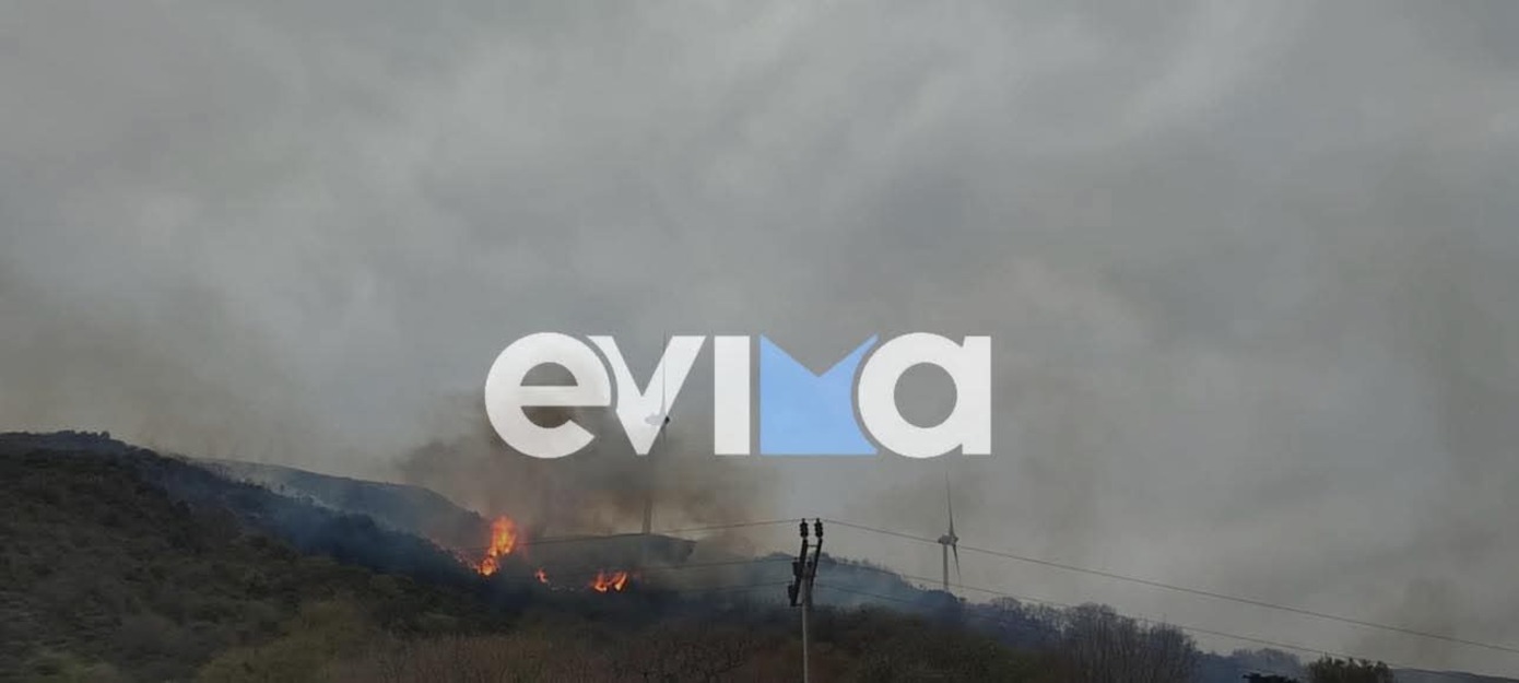 Φωτιά στην Κάρυστο: Ολονύχτια μάχη με τις φλόγες – Ήχησε το 112