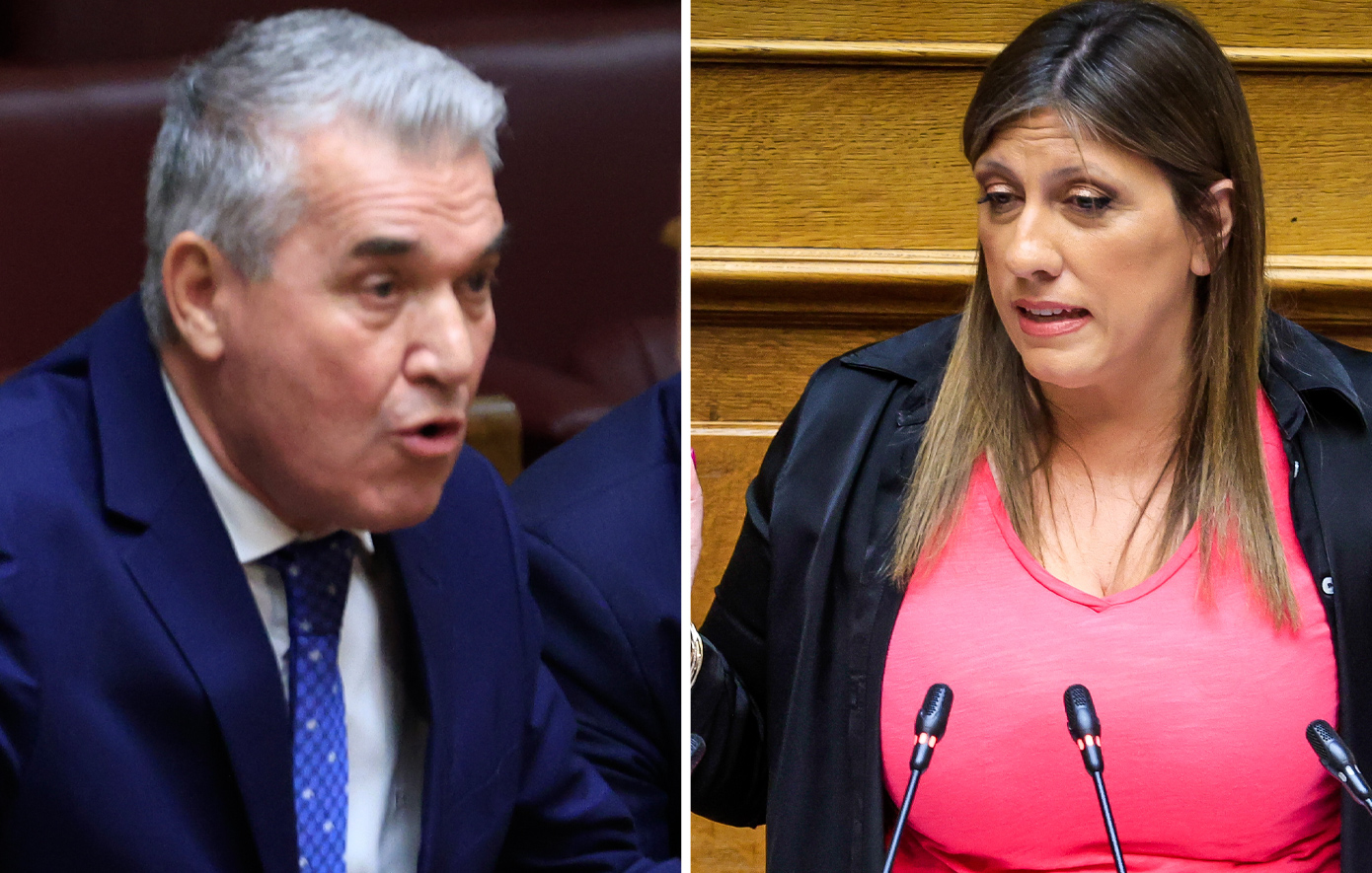 «Κάνε κανένα παιδί» φώναξε βουλευτής της Ν.Δ. στην Κωνσταντοπούλου – Τον κάλεσε να ζητήσει συγγνώμη η Ζαχαράκη