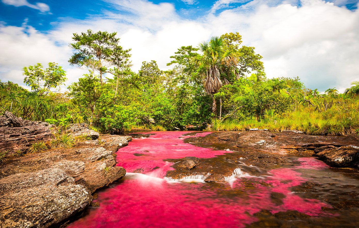 Ποταμός Cano Cristales, Κολομβία Ποταμός Cano Cristales, Κολομβία