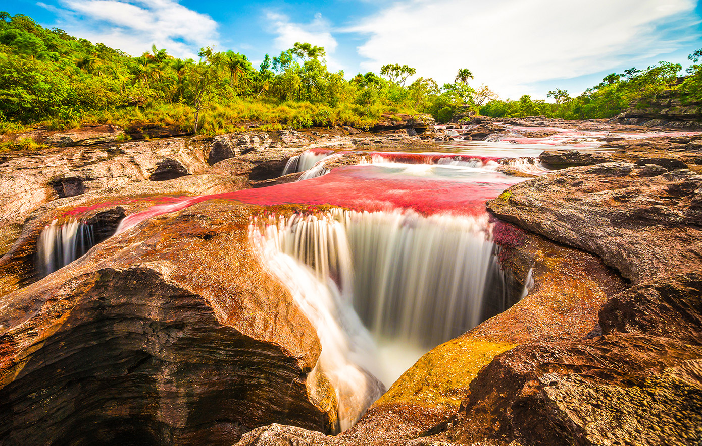 Ποταμός Cano Cristales, Κολομβία Ποταμός Cano Cristales, Κολομβία