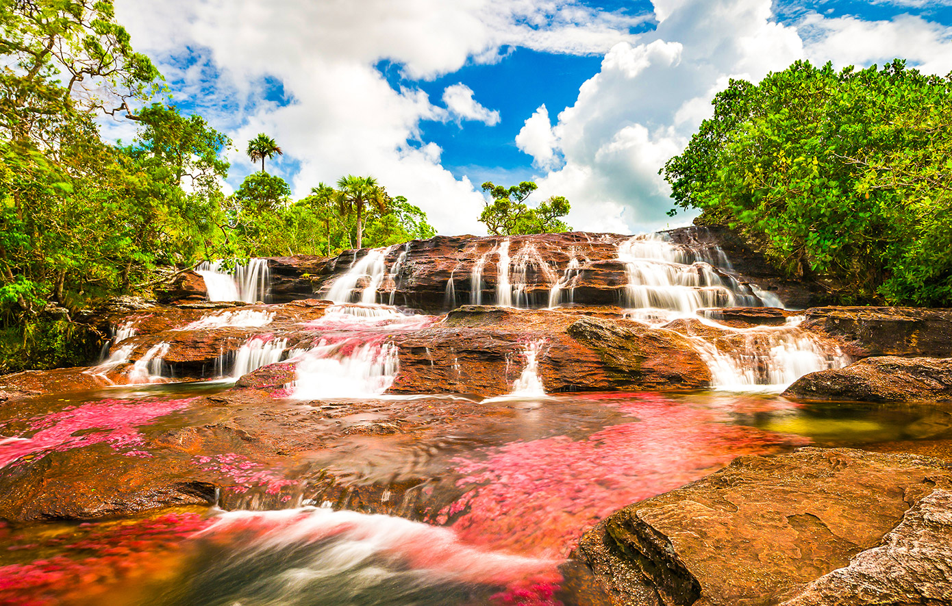 Ποταμός Cano Cristales, Κολομβία Ποταμός Cano Cristales, Κολομβία