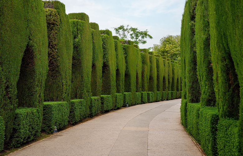 Γρανάδα Γρανάδα