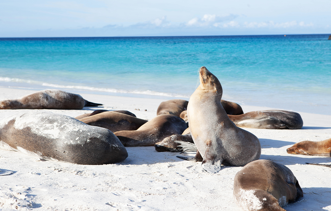 Νησιά Γκαλαπάγκος Νησιά Γκαλαπάγκος
