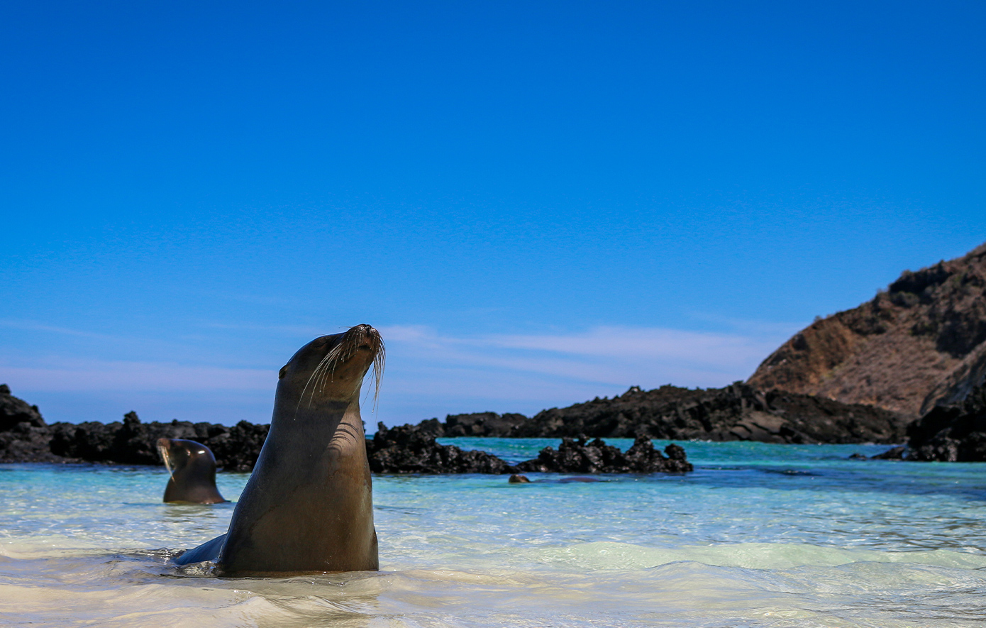 Νησιά Γκαλαπάγκος Νησιά Γκαλαπάγκος