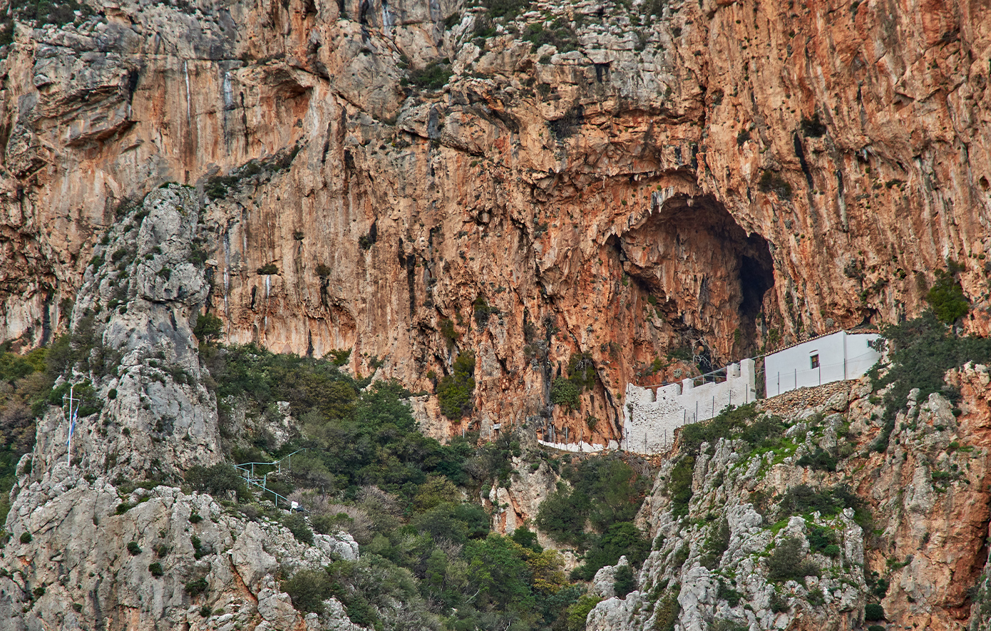 Βελανιδιά Λακωνία