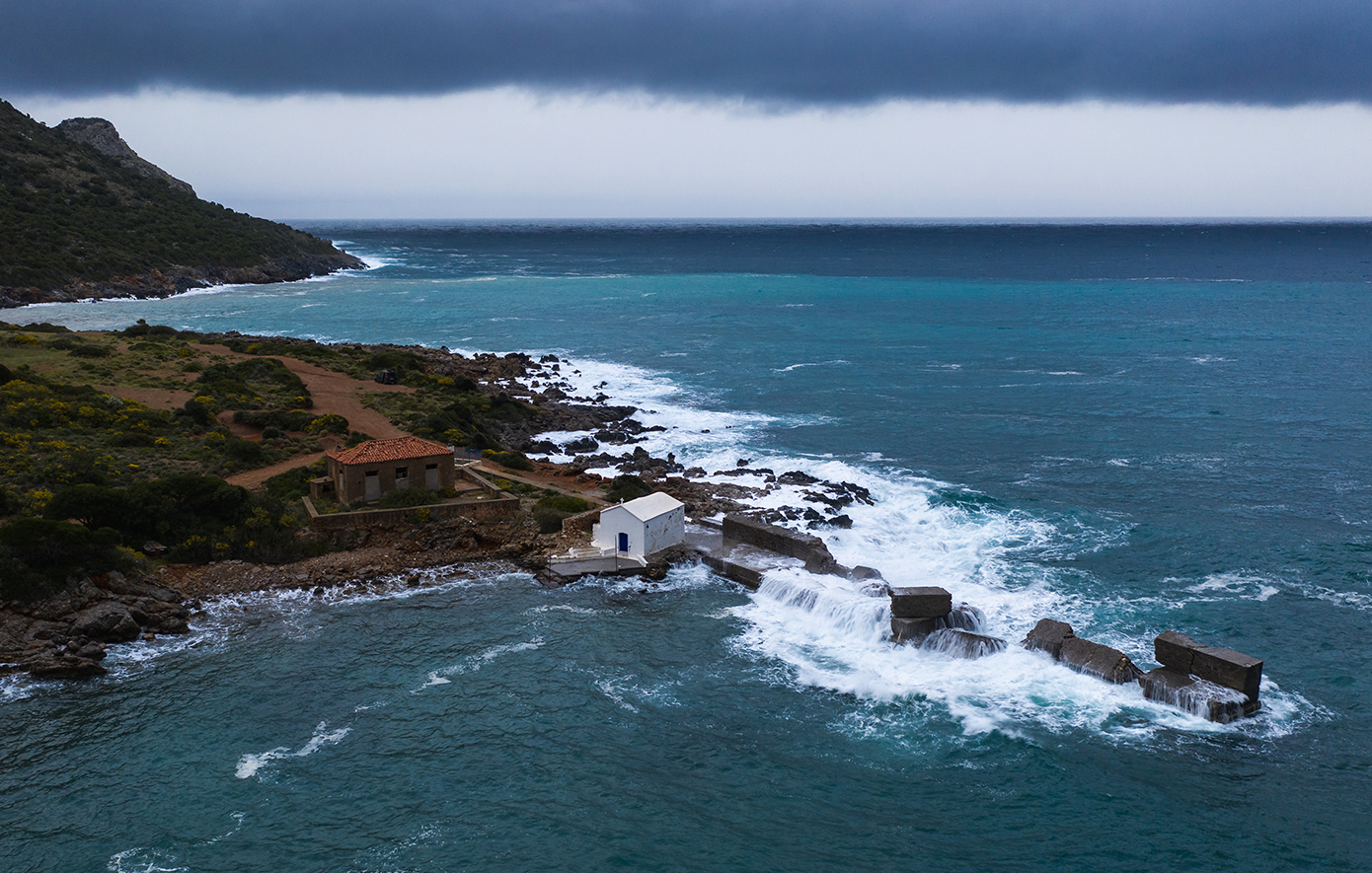 Βελανιδιά Λακωνία
