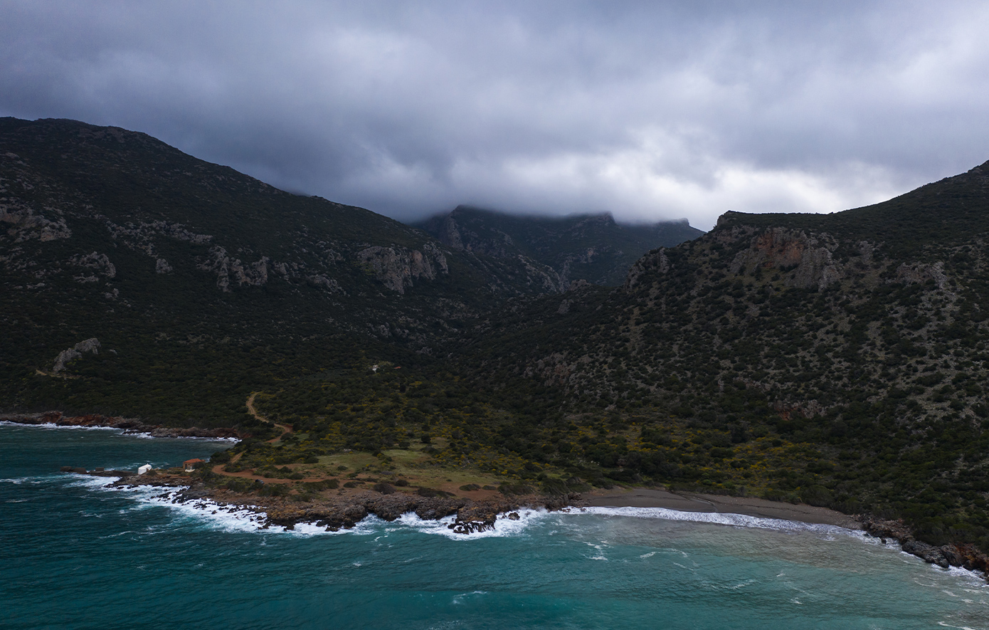 Βελανιδιά Λακωνία