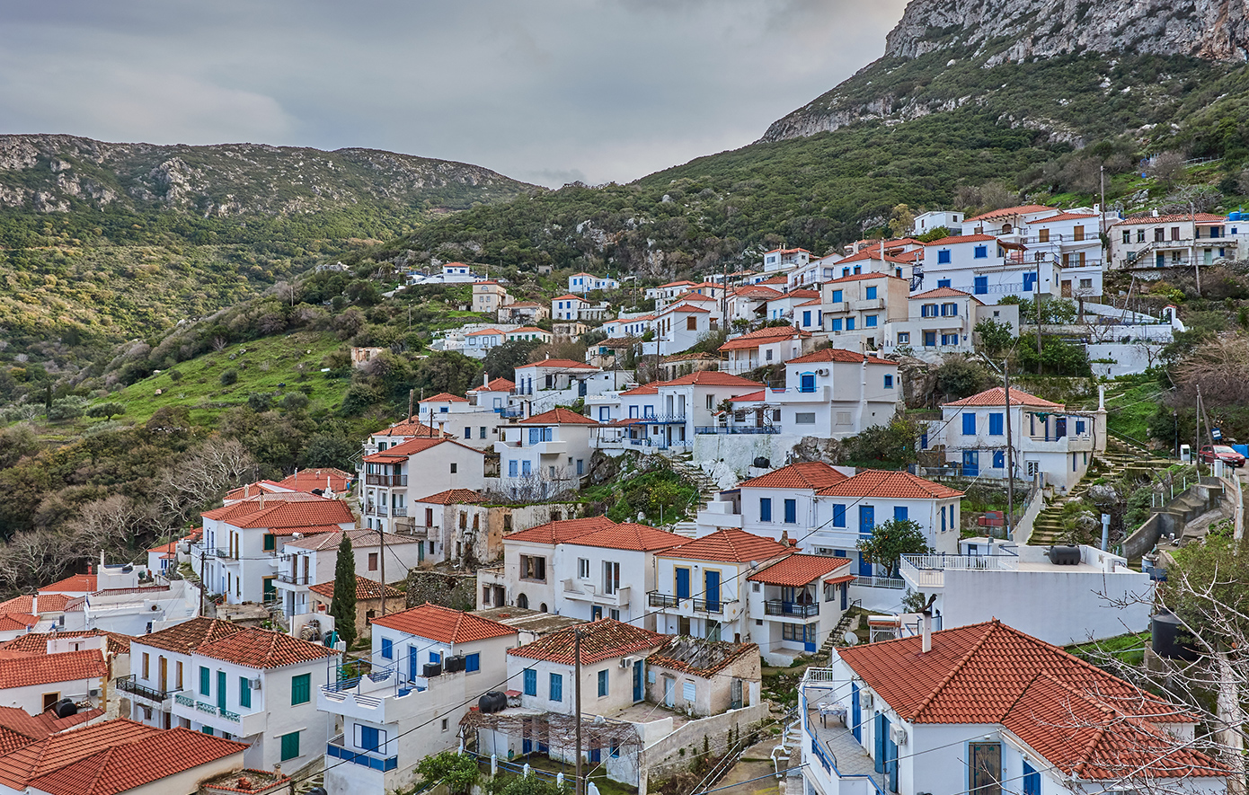 Βελανιδιά Λακωνία