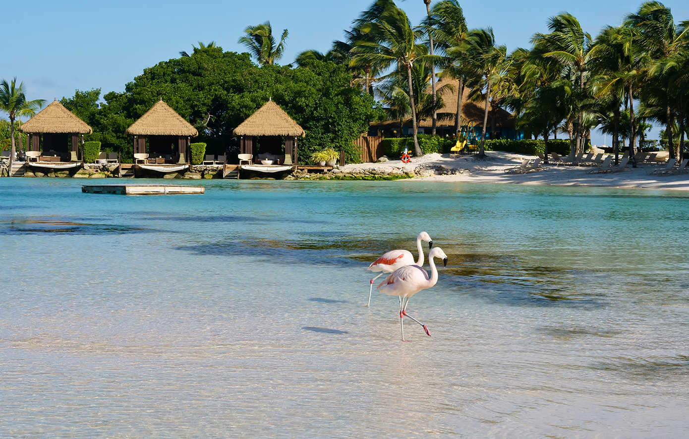 Αρούμπα Αρούμπα