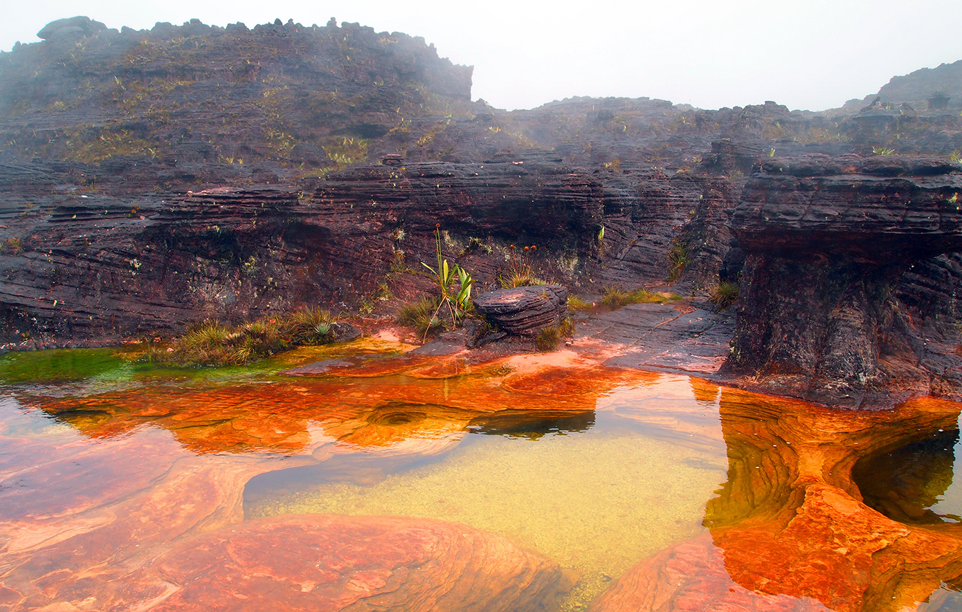 Όρος Ροράιμα, Βενεζουέλα Όρος Ροράιμα, Βενεζουέλα