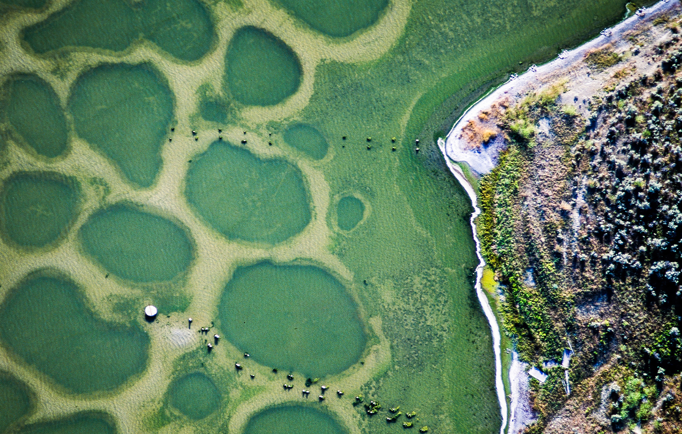 Spotted lake Canada
