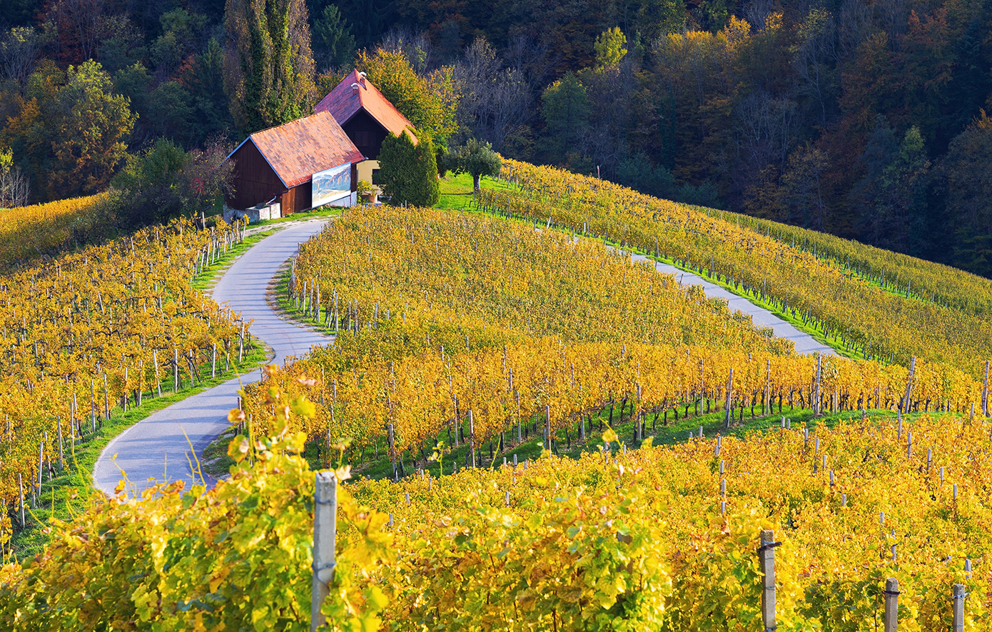 Δρόμος καρδιάς Σλοβενία