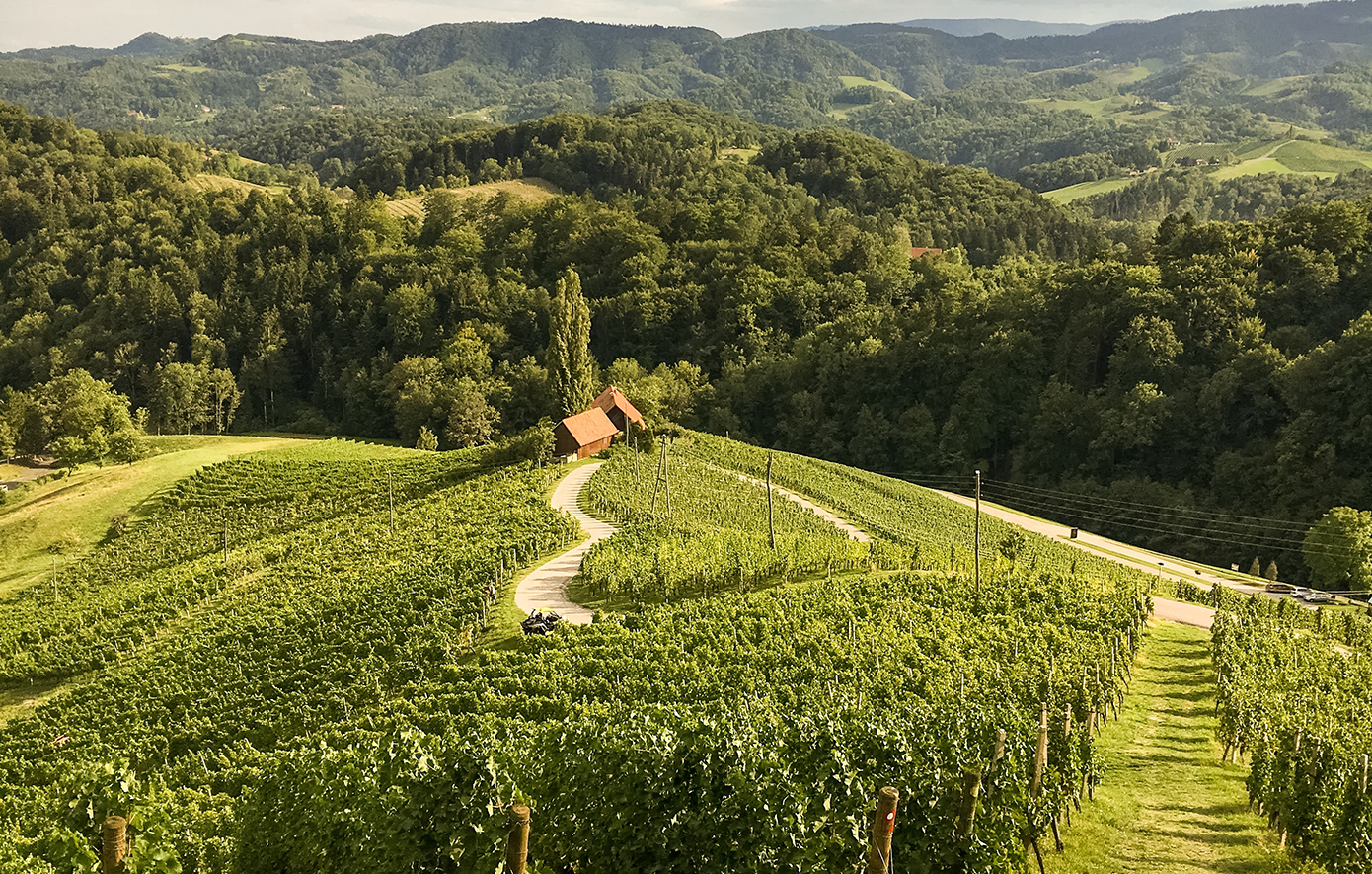 Δρόμος καρδιάς Σλοβενία