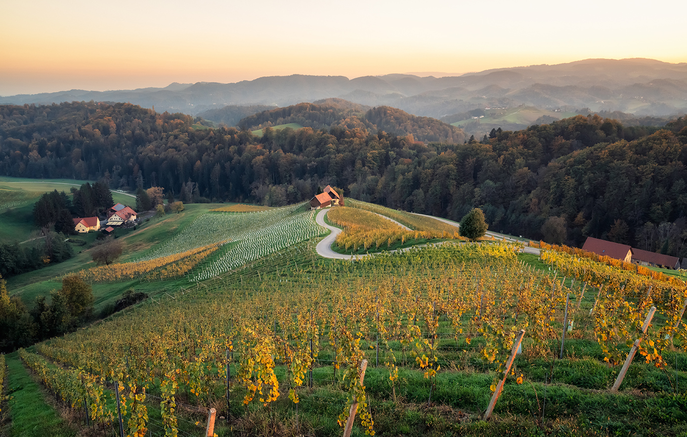 Δρόμος καρδιάς Σλοβενία