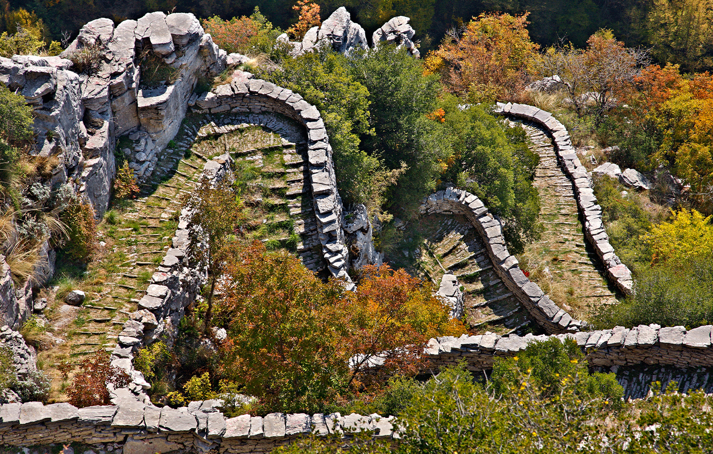 Βραδέτο Ζαγόρι