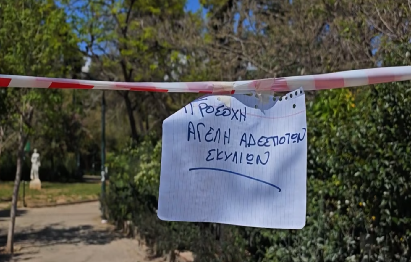 Λύθηκε το μυστήριο με την αγέλη σκυλιών στο Άλσος Παγκρατίου